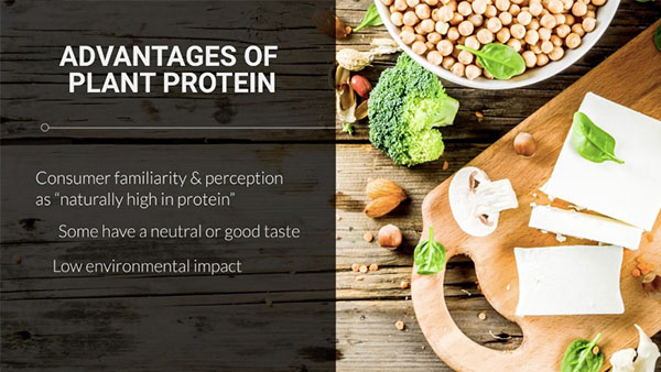 What's driving plant proteins' success?