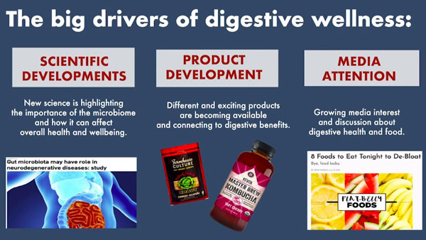 Digestive Wellness 2018